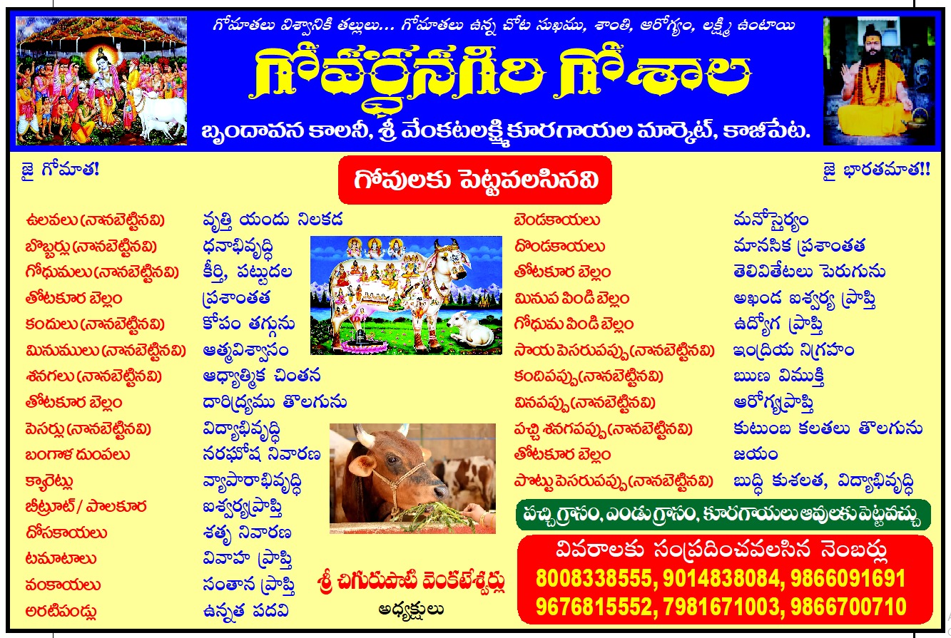 WhatsApp Image 2026-03-19 at 1.00.14 PM